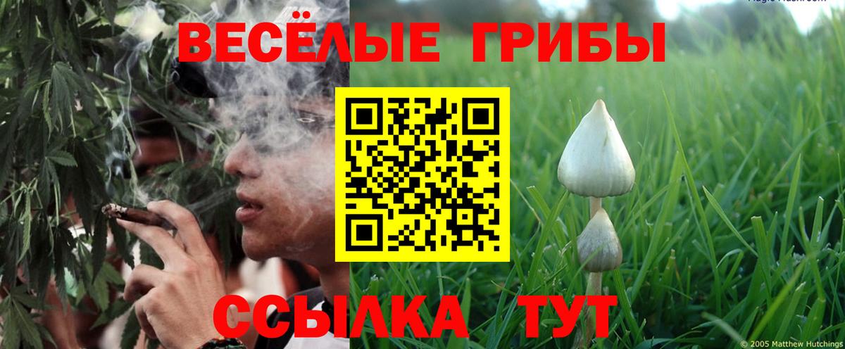 Кстово  Галлюциногенные грибы Magic Shrooms  где продают наркотики  Вход с VPN 