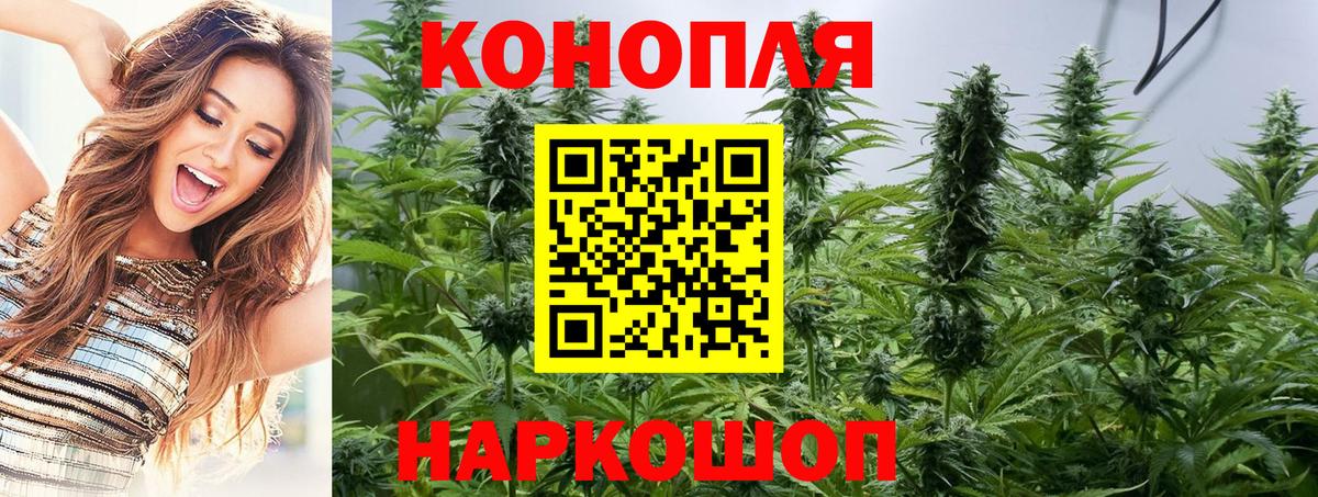 Марихуана AK-47  Вход с VPN  Кстово  Марихуана MAZAR  Бошки марихуана OG Kush  Каннабис планчик 
